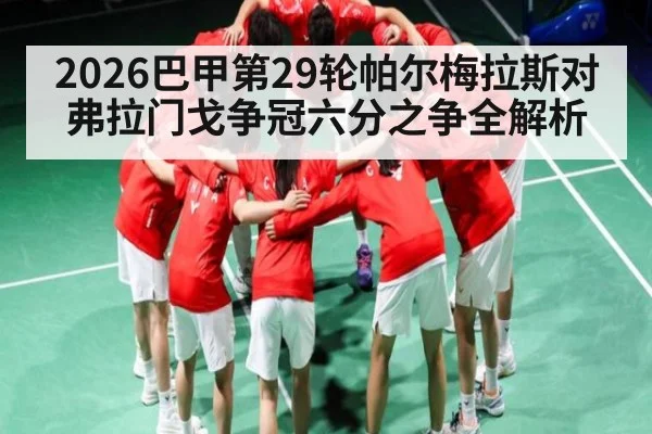 2026巴甲第29轮帕尔梅拉斯对弗拉门戈争冠六分之争全解析 - kaiyun