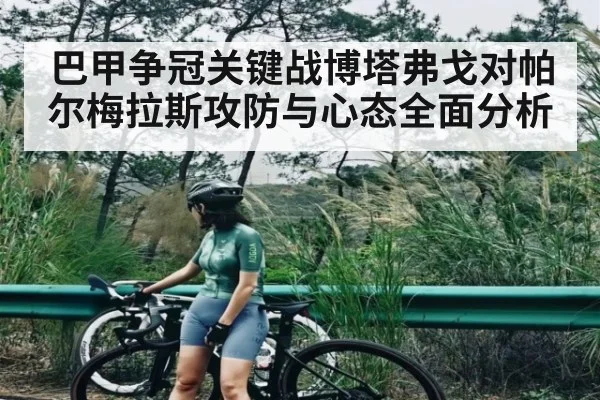 巴甲争冠关键战博塔弗戈对帕尔梅拉斯攻防与心态全面分析